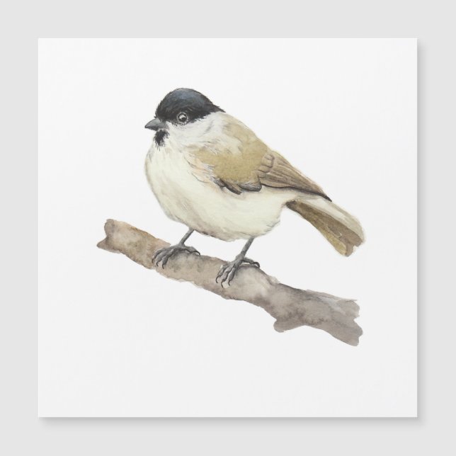 Watercolor Marsh Tit (Front)