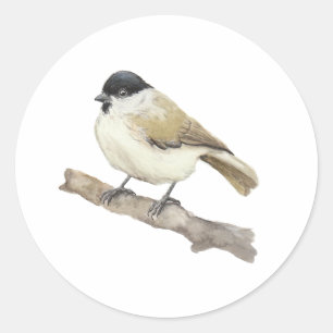 Watercolor Marsh Tit Classic Round Sticker