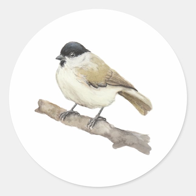 Watercolor Marsh Tit Classic Round Sticker (Front)