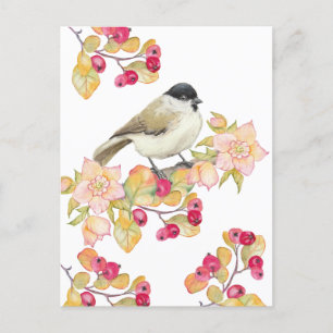Watercolor Marsh Tit Postcard