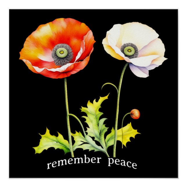 Watercolor Memorial Day Peace Red & White Poppies Poster (Front)