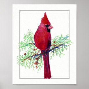 Watercolor Merry Christmas, Cardinal Red Bird Poster