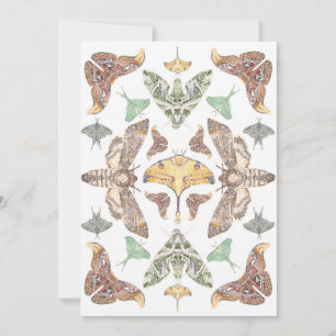 Watercolor Moth Insect Invitation