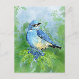 Watercolor Mountain Bluebird Blue Bird Art for the Postcard