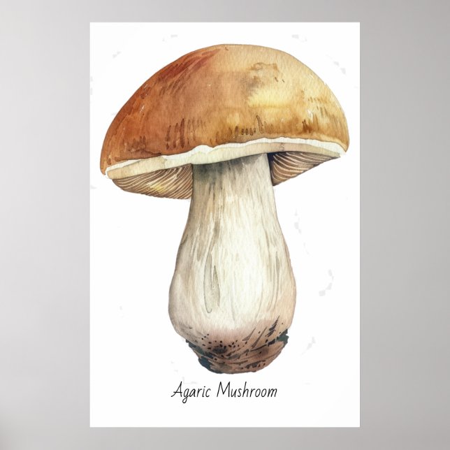 Watercolor mushroom illustration poster (Front)