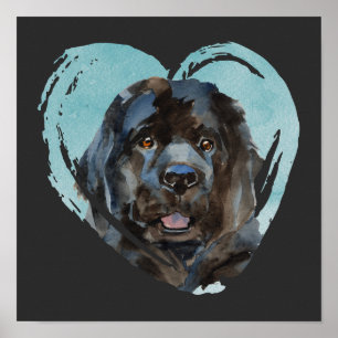 Watercolor Newfoundland Portrait Poster
