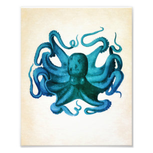 Watercolor Octopus Illustration Photo Print