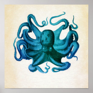 Watercolor Octopus Illustration Poster