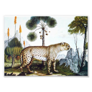 Watercolor of a Cheetah (Zotl) Photo Print