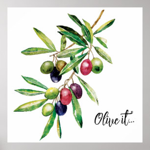 Watercolor Olive Branch Poster