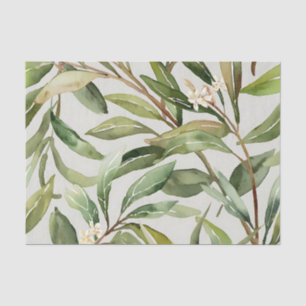 Watercolor Olive Branches Botanical Tissue Paper