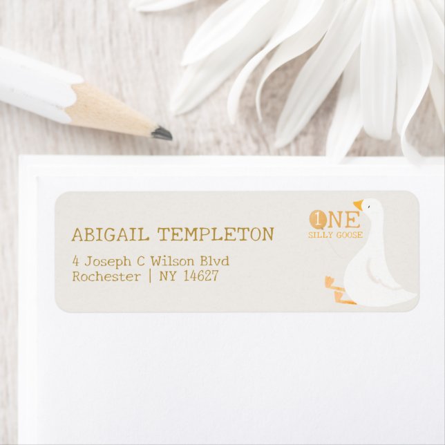 Watercolor One Silly Goose Wildflower 1st Birthday (Insitu)