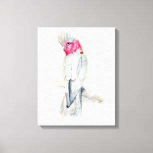 Watercolor Opera Cockatoo Canvas Print