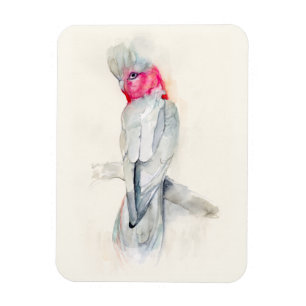 Watercolor Opera Cockatoo Magnet