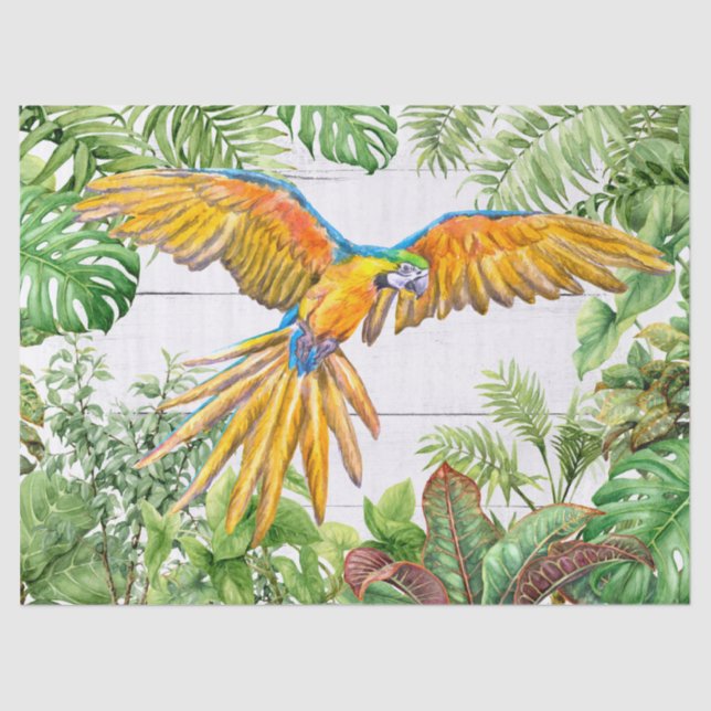 Watercolor Orange Blue Parrot Tissue Paper (Front)