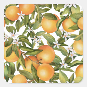 Watercolor Orange Fruit and Orange Blossom Square Sticker
