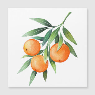 Watercolor Orange Fruits: Branches Isolated.