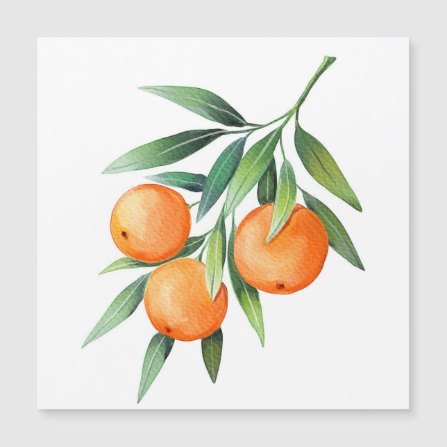 Watercolor Orange Fruits: Branches Isolated. (Front)