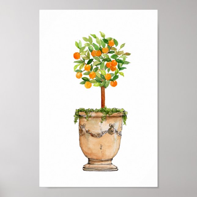 Watercolor Orange tree topiary in antique urn  Poster (Front)