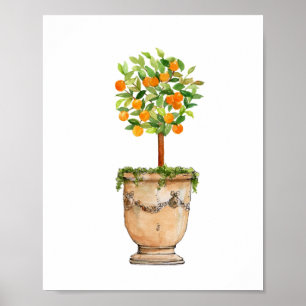Watercolor Orange tree topiary in antique urn  Poster