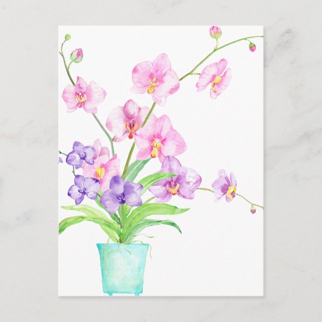 Watercolor Orchid in Pot Postcard (Front)