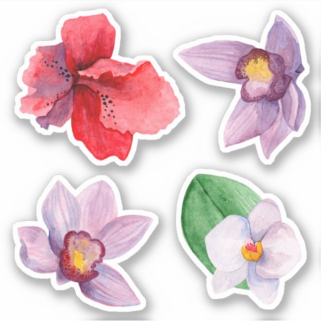 Watercolor orchid. Tropical flowers. Purple floral (Front)