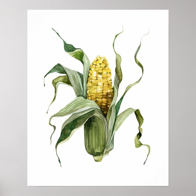 Watercolor Organic Corn Poster (Front)