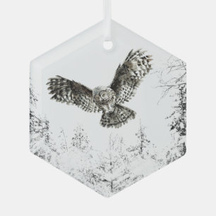 Watercolor Owl Bird Wildlife Nature Art Glass Tree Decoration