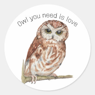 Watercolor Owl Illustration Classic Round Sticker
