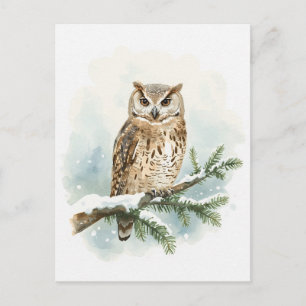 Watercolor Owl on Snowy Pine Branch Holiday Postcard