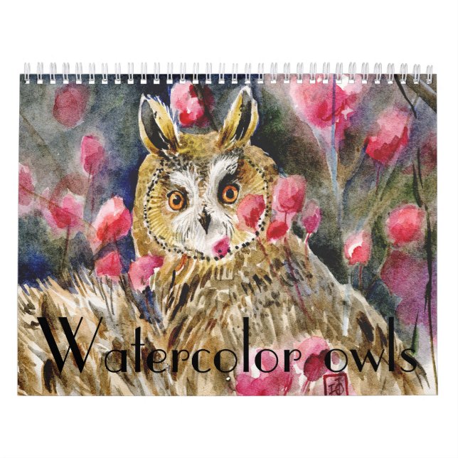Watercolor owls paintings close-ups calendar (Cover)