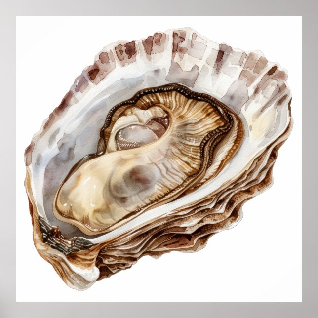 Watercolor oyster illustration poster (Front)