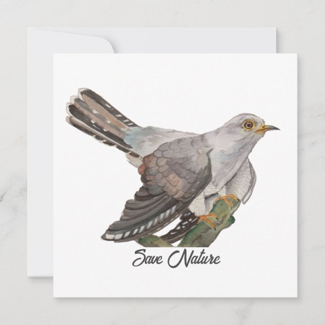 Watercolor painting a cuckoo (Front)