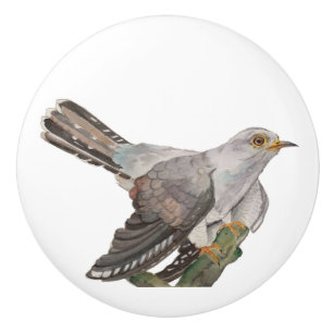 Watercolor painting a cuckoo ceramic knob