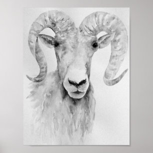 Watercolor Painting Abstract Ram Poster