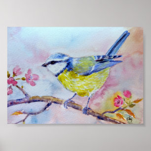 Watercolor Painting Bluetit Blue bird Poster