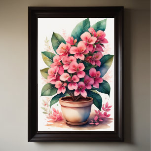 Watercolor Painting of Bouganvillea in Pot Pink II Poster