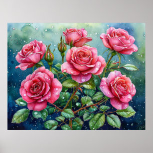 Watercolor Painting of Pink Roses with Dewdrops Poster
