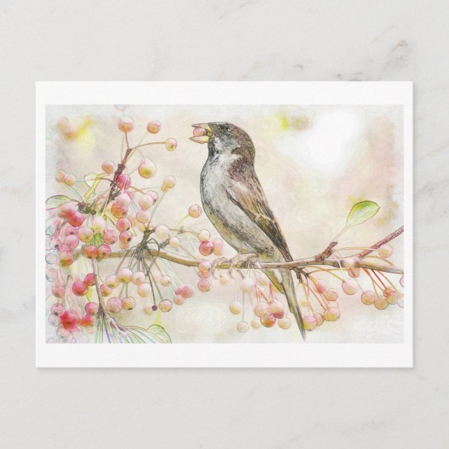 Watercolor Painting of Sparrow Eating Berries  Postcard (Front)