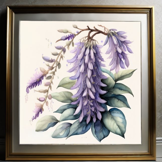 Watercolor Painting of Wisteria Poster (Creator Uploaded)