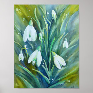 Watercolor Painting Snowdrops Poster