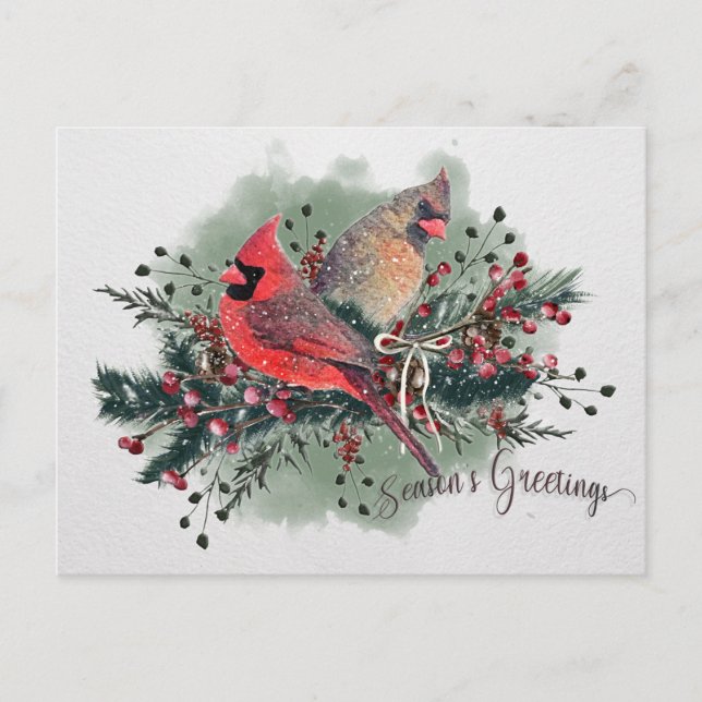 Watercolor Pair of Cardinals Christmas Design Holiday Postcard (Front)