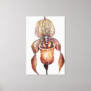 Watercolor Paphiopedilum Orchid in Vivid Colours Canvas Print