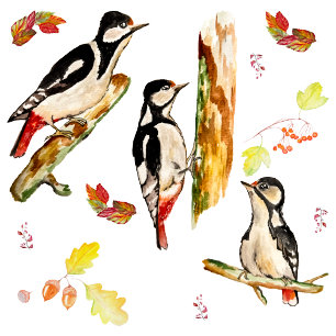 Watercolor pattern with birds woodpecker baby bodysuit