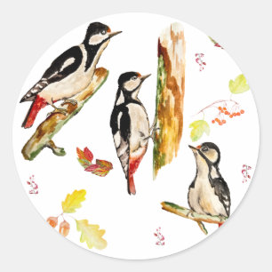 Watercolor pattern with birds woodpecker classic round sticker