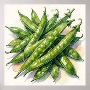 Watercolor Pea Pods Poster