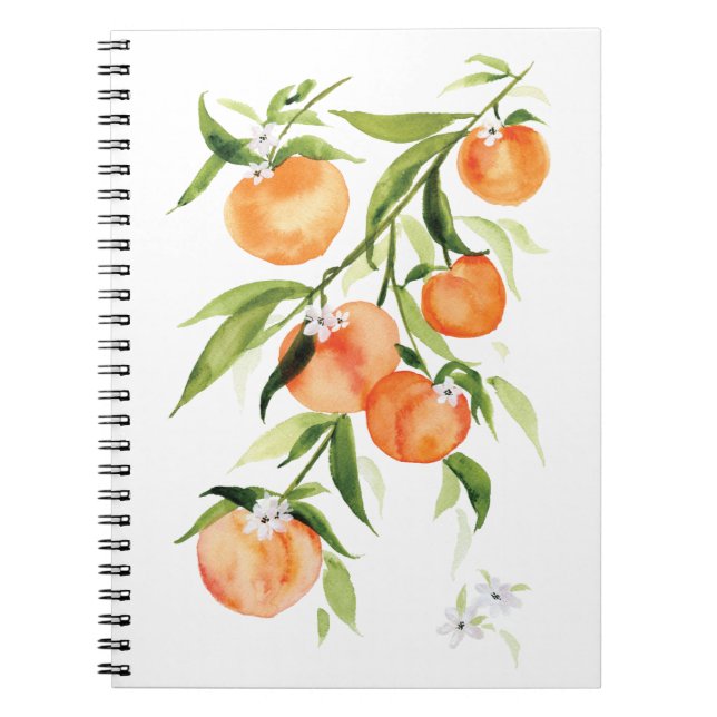 Watercolor peach summer fruit Spiral Notebook (Front)
