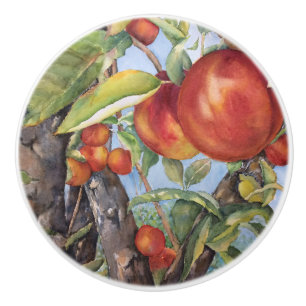 Watercolor Peach Tree Orchard Fruit Harvest  Ceramic Knob