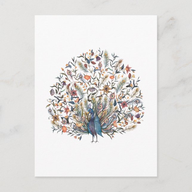 Watercolor  Peacock Postcard (Front)