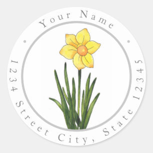 Watercolor, Pen & Ink Daffodil  Classic Round Stic Sticker